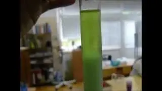 Izolujemy DNA