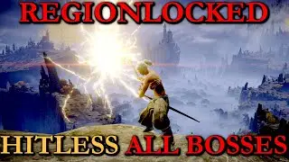 !Regionlocked All (207) Bosses No Hit Attempts