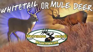 YOUR CHOICE! WHITETAIL or MULE DEER HUNTING in Nebraska