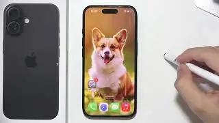 iPhone 17: How to Set Default iPhone Ringtone?