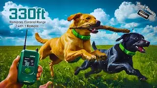 🐾 Top 10 Coolest Amazon Pet Gadgets You&rsquo;ll Love! 🐕🐈 Perfect for Your Pets!
