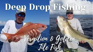 Deep Dropping for Golden Tile Fish & Vermilion in Jupiter