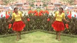 Rosas del amor y los emperadores del charango