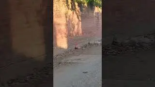 #lifestyle #lahore #explore #entertainment .LAHORE WAHDAT COLONY