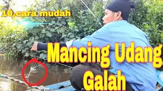 Cara Mancing Udang Galah// 10.Teknik Mancing Udang.
