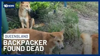 Canadian Backpacker Found Dead On K’gari Surrounded By Dingoes | 10 News