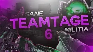 Sane Militia: Call of Duty Teamtage #6