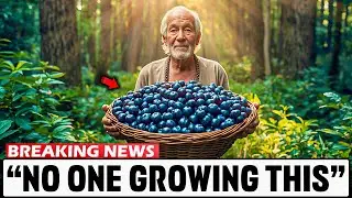 America&rsquo;s Most Powerful Superfruit Was Abandoned | It&rsquo;s Better Than Blueberries