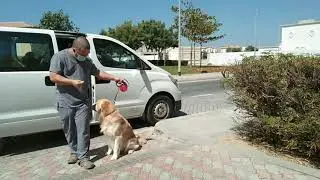#Buhay OFW Dubai#Good boy si Mr.Zeus/Car wash & Vacuum Today.
