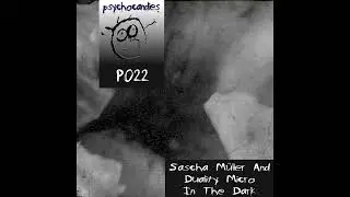 (P022) 02. Sascha M&uuml;ller And Duality Micro - Ondum_In The Dark