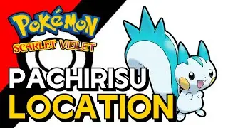 Pokemon Scarlet & Violet - Pachirisu Location