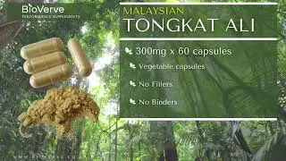 BioVerve Malaysian Tongkat Ali 2% Eurycomanone