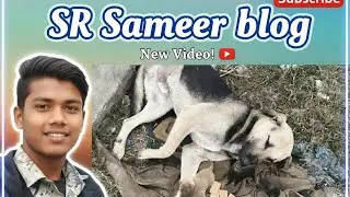 आज इन बेजुबानों के लिए मेरा छोटा सा प्रयास 🐕 | कलयुग में इंसानियत अभी भी जिंदा है