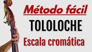 Escala Cromática Tololoche explicado con peras y manzanas