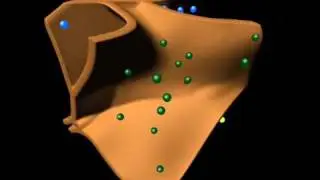 Separation of biological samples with Artificial Neural Networks