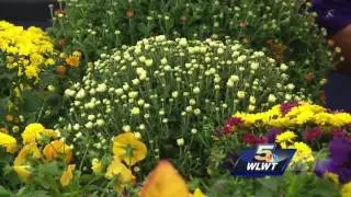 Bell Nursery shows off its fall collection of plants
