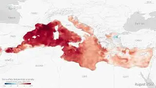 Mediterranean Sea Suffers Major Marine Heatwave