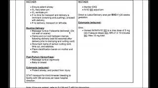 S-133: Obstetrical  Emergencies