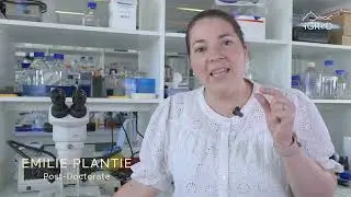 iGred Lab - Team Epigenetic Regulations and Ontogenesis