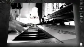 Arabic Flute Testing Sound Spyros Kottis