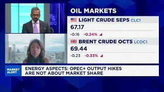 Logic for OPEC policy not market share: Energy Aspects