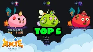 [S11] HEALING PULSE SHADY EXCHANGE FLOCK MIGHT ERA MISTICA TOP 5 | AXIE INFINITY | RFCode: BLACK