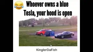 Tesla Moment #imagine#trash#meme