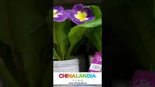 Plantas decorativas artificiales