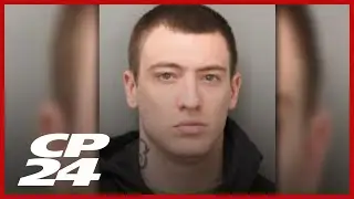 Полиция сообщает, что 27-летний подозреваемый был арестован в ходе облавы в Ниагаре