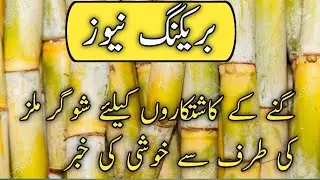 shugarcane rates 2023|shugarmil information on pakistan| shugarmil information|@localfarmers20