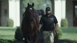 Foal to Finish Line | Breeding A Champion