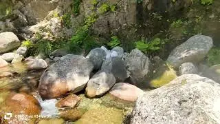 El Raso okSin t&iacute;tulo