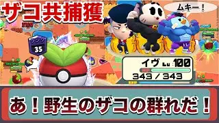 【ブロスタ】俺の夢は『旧環境連勝なし初デュオ紺イヴ』とポケモンマスター‼️