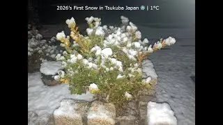 1°C Challenge: Exploring Tsukuba’s Outdoors in Winter