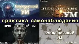 Практика самонаблюдения, самоисследования, самопознания.