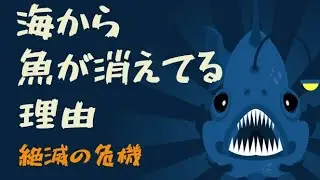 魚ってもう獲れなくなるんじゃね？(全国漁獲量推移)
