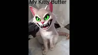 AI turns my sweet lil kitty evil.