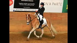 LA5A DSP Championat Haflinger Sting Classwei Af &Aring;tte Bjerge