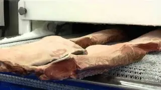crust freezing tunnel manufactured by pennine environmental in the uk.