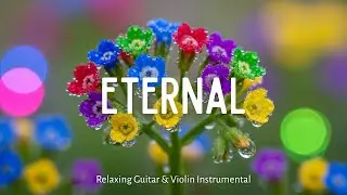 Peaceful Guitar Melodies for Study, Work, and Stress Relief | Relaxing Background Instrumental