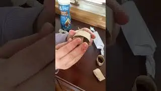 3 DIY hamster toys! #diy#hamstertoys#crafts#cute#enrichment#music#chill#trending#popular#fyp#shorts