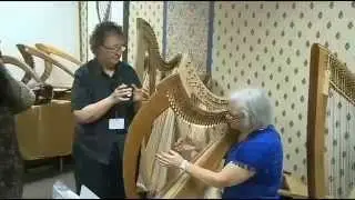 The Harp Gathering 2013