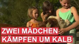 Zwei junge Aiderbichlerinnen kämpfen um Kalb Kathi