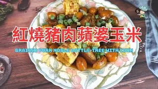 【紅燒豬肉蘋婆玉米Braised Pork Noble Bottle-tree with Corn】打造自家版本的蘋婆料理分享！蘋婆的清新微笑，紅燒的柔和魅力，品味紅燒豬肉蘋婆玉米的香郁奇妙味！