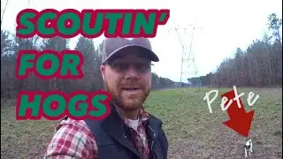 SCOUTING FOR WILD HOGS 🐗🐗🐗 at Hollis Farms