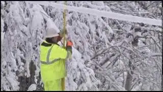 Hundreds going on nearly one week without power
