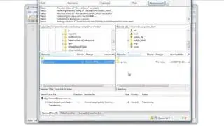 How to FTP /Publish Online