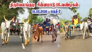 Тирувелангуди Чинна Маду, часть 2, 2026 г.
