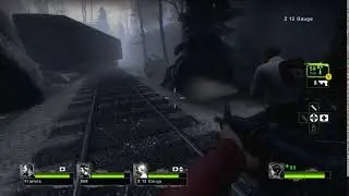The Life of Z 12 Gauge in 10 Seconds