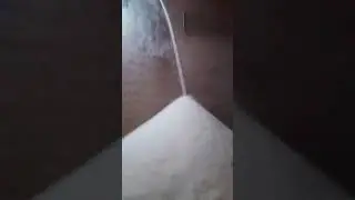 New rice narang Mandi
